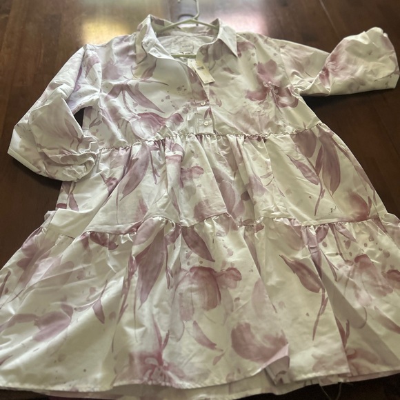 Loverly Grey x Anthropologie The Bettina Shirt Dress by Maeve Mini Edition NWT L - Picture 5 of 7